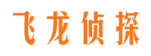 湛河市婚姻调查